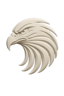 Logo Foccus